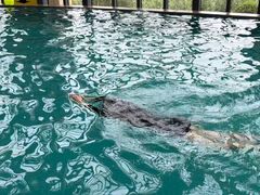 -郑州银基黄帝宫御温泉