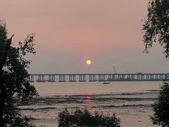 -宝安西湾红树林湿地公园