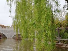 -南汇桃花村