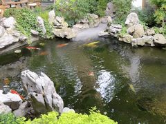 -鲤院·新中式美学·庭院餐厅(夫子庙店)