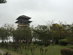 -大湾区中央湿地公园