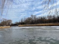 -大兴滨河森林公园