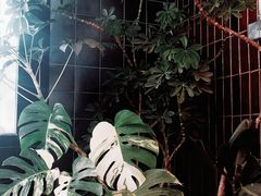 -皇家甜心(昌南店)