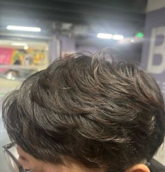 -米可造型烫染