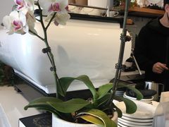 -LAB COFFEE来杯咖啡(浦仓路店)