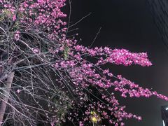 -新梦百货(民族店)