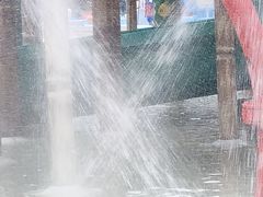 -重庆海昌加勒比海水世界