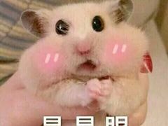 -大味生态火锅(蓝谷地店)
