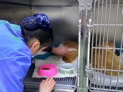 -康乐宝动物医院