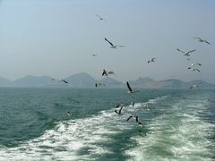 -海驴岛(荣成市)