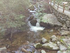 -青峰峡国家森林公园