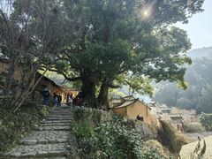 -杨家堂村