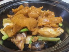 花胶焖杏花鸡-大水车公馆·顺德菜·妈姐菜(均安店)