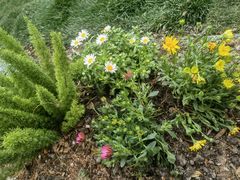 -一尺花园(安和花园店)