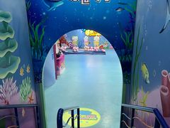-水立方嬉水乐园