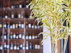 -wineapp葡萄酒餐吧(外滩金融中心店)