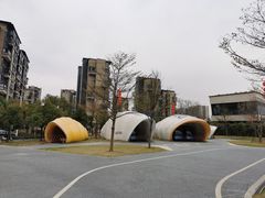 -飞凤山奥体公园