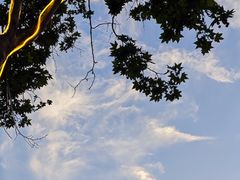 -众品老方子锅贴甜沫(李村店)