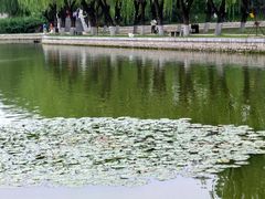 -中国农业博物馆