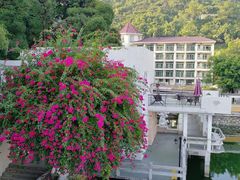 周边环境-广州市干部健康管理中心