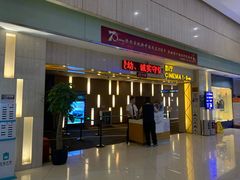 -万达影城(江桥万达广场IMAX店)