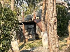-武汉动物园