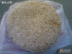 烧饼-王家沙点心店(万航渡路店)