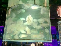 -大明湖海底世界