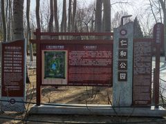 -仁和公园(顺义区)