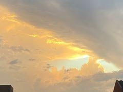 -老爆肚满五香烧牛羊肉