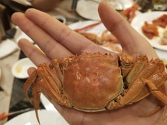 -东方红海鲜百汇(国际大厦店)