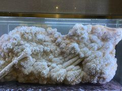 -湖南省地质博物馆