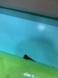 -万达宝贝王(长春红旗街店)