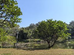 -云溪植物园
