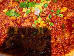 -柴窝堡22号辣子鸡·传承新疆菜