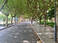 -上海师范大学西部食堂