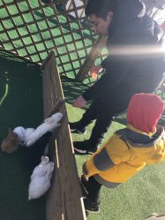 -萌宠亲子动物乐园(槐房万达店)