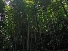 -敬亭山风景名胜区