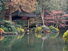 -杭州植物园