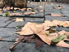 -复旦大学附属华山医院(总院)
