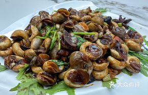 Stir-fried Eagle Eye Snail