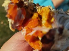 -宾湖农庄·农场特色(太湖龙之梦店)