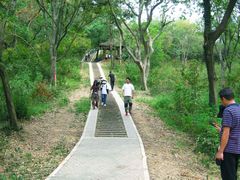 -青龙山国家森林公园