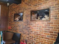-炭虎烤肉(桂林路店)