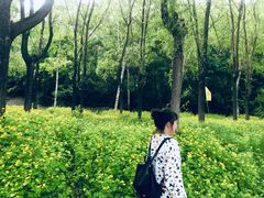 -哈尔滨北方森林动物园