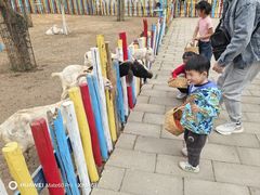 -西部长青自然儿童乐园