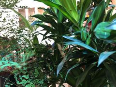 -花二家·生活馆(六运小区店)