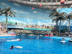 -海合安成都极地海洋公园