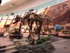 -陕西自然博物馆