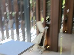 -拾溪餐厅·包厢(杭州千禧度假酒店)